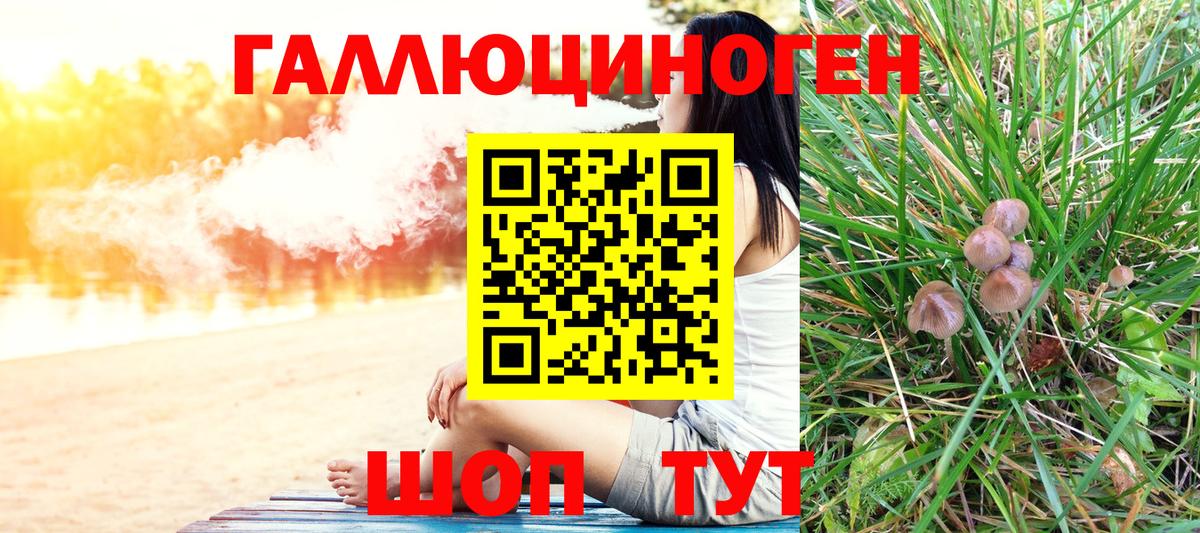 Галлюциногенные грибы GOLDEN TEACHER Камышлов