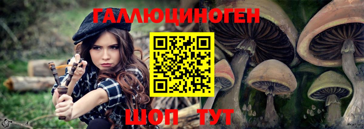 Псилоцибиновые грибы Psilocybe  Вход с VPN  Камышлов  Галлюциногенные грибы мицелий 